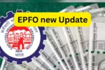 EPFO પેન્શન પર મોટી અપડેટ! લઘુત્તમ પેન્શન સીધું ₹7,500 થવાની શક્યતા, જાણો સરકાર શું વિચાર કરી રહી છે