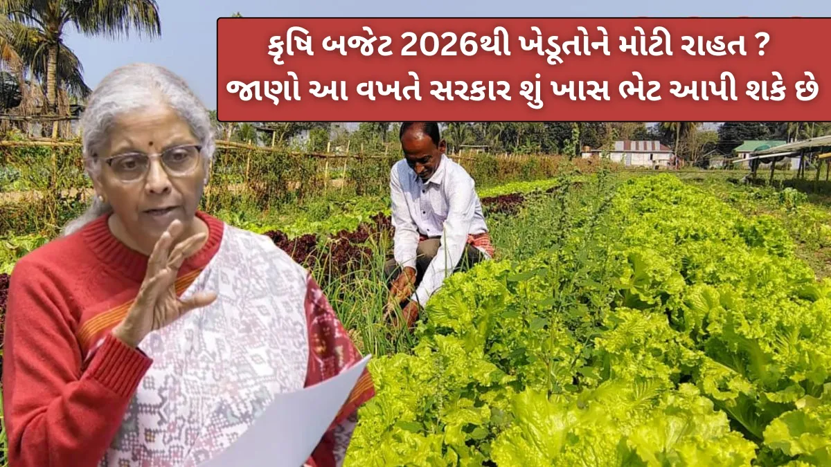 કૃષિ બજેટ 2026થી ખેડૂતોને મોટી રાહત ? જાણો આ વખતે સરકાર શું ખાસ ભેટ આપી શકે છે