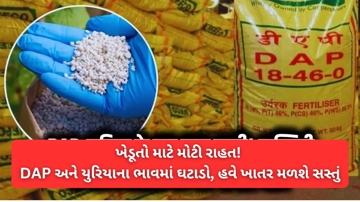 ખેડૂતો માટે મોટી રાહત! DAP અને યુરિયાના ભાવમાં ઘટાડો, હવે ખાતર મળશે સસ્તું
